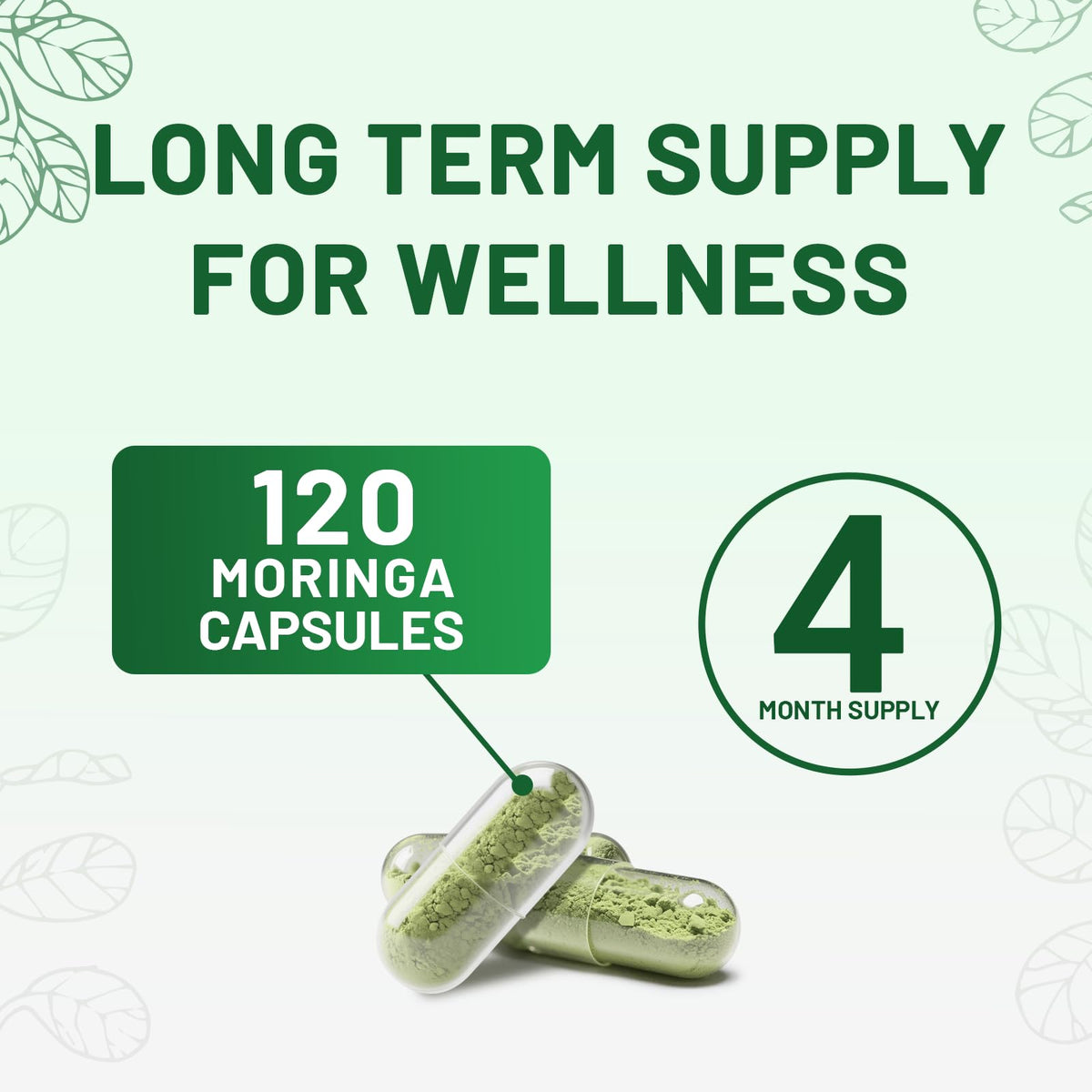 120 Moringa Capsules K7824