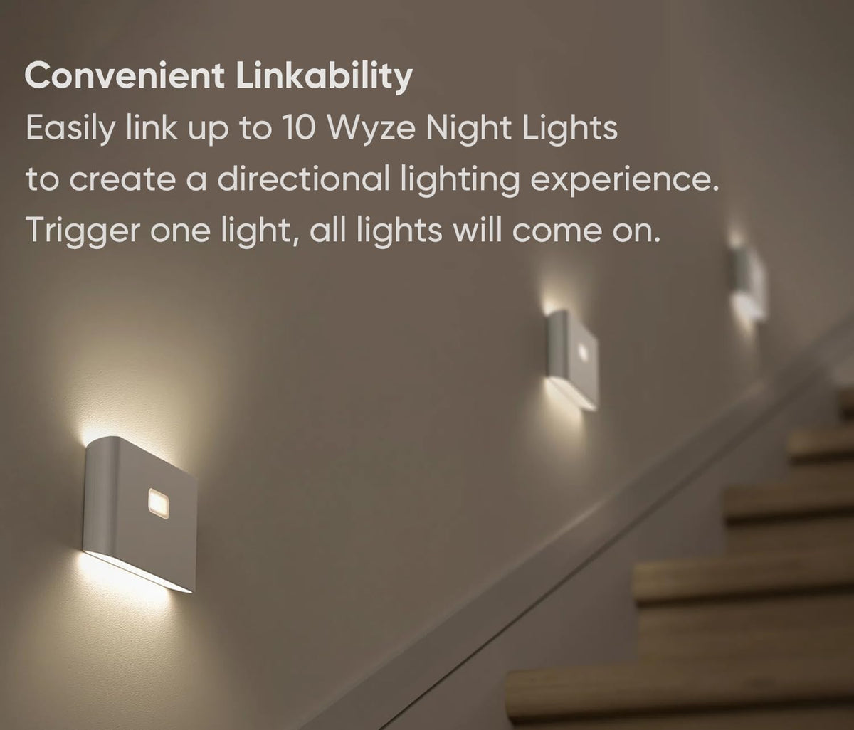 Smart Scale & Night Lights 3 Pack A4180