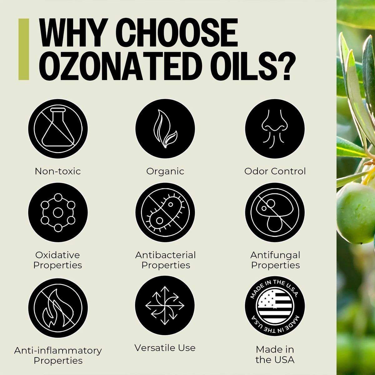 Olive Oil 1 oz Tube 2-Pack P267