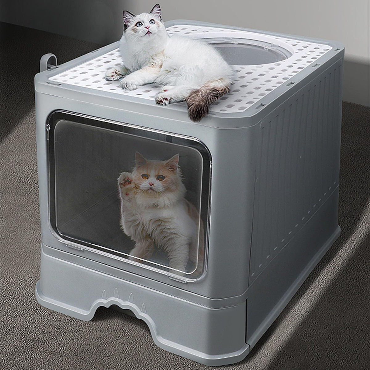Enclosed Foldable Cat Litter Box with Lid H476995