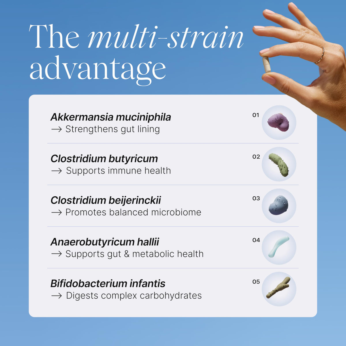 Multi-Strain Probiotic with Akkermansia muciniphila 30 Capsules A583525