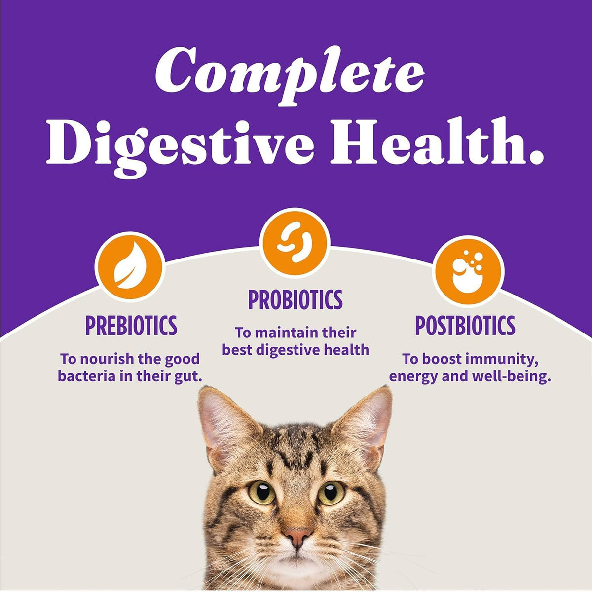 Dry Cat Food 3 lb W308268