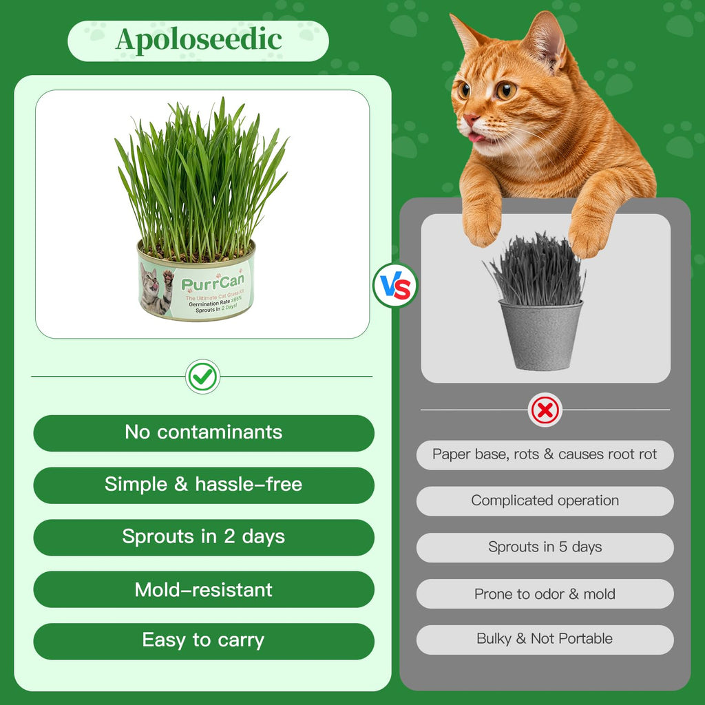 6 Cans Organic Wheat Cat Grass Growing Kit H868