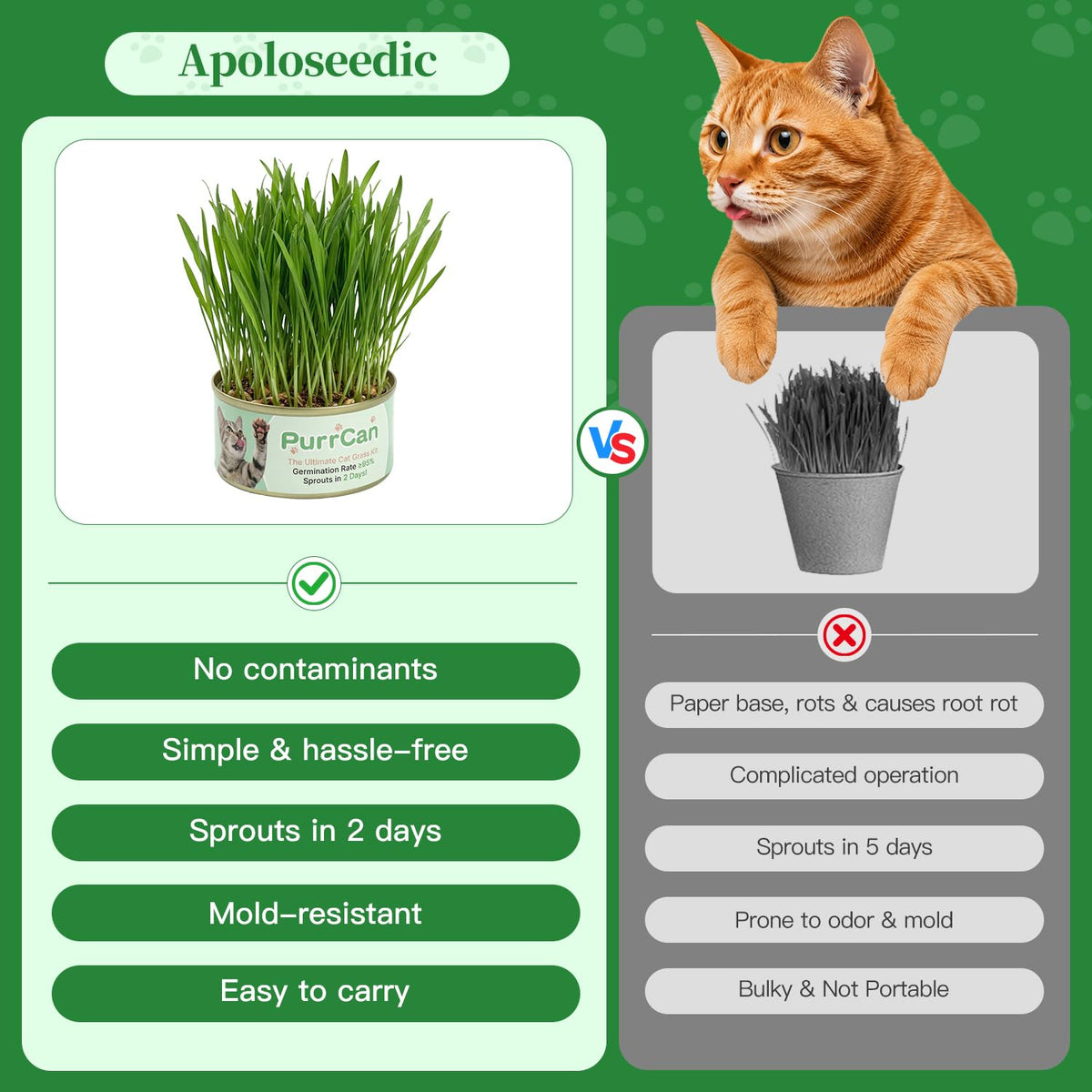 6 Cans Organic Wheat Cat Grass Growing Kit H868