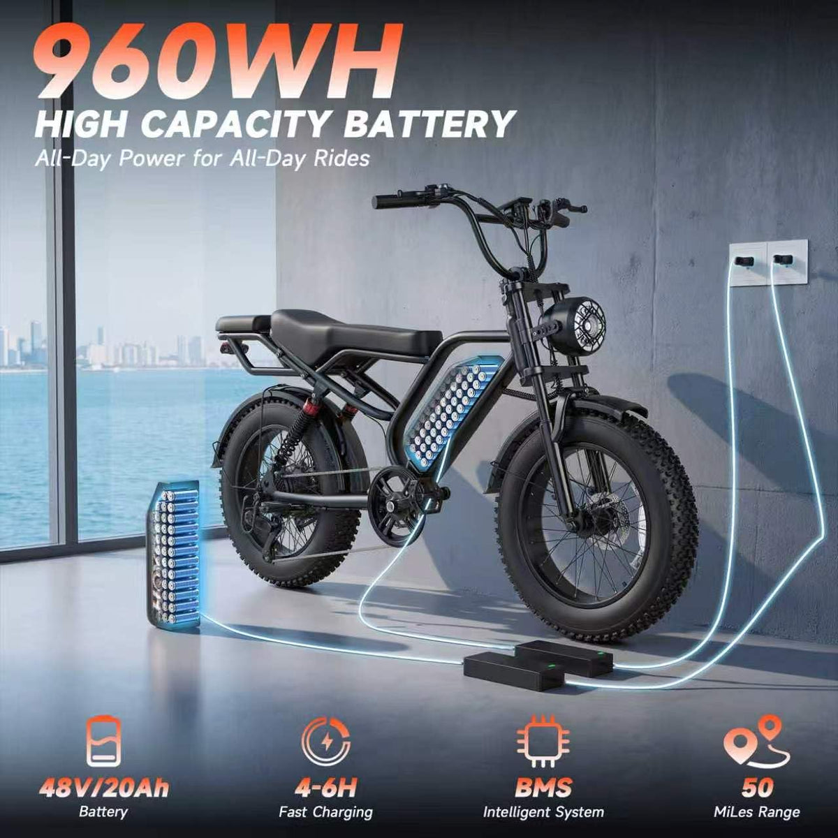 16/20" Fat Tire Electric Bike 1500W Peak Motor Removable Battery V730233
