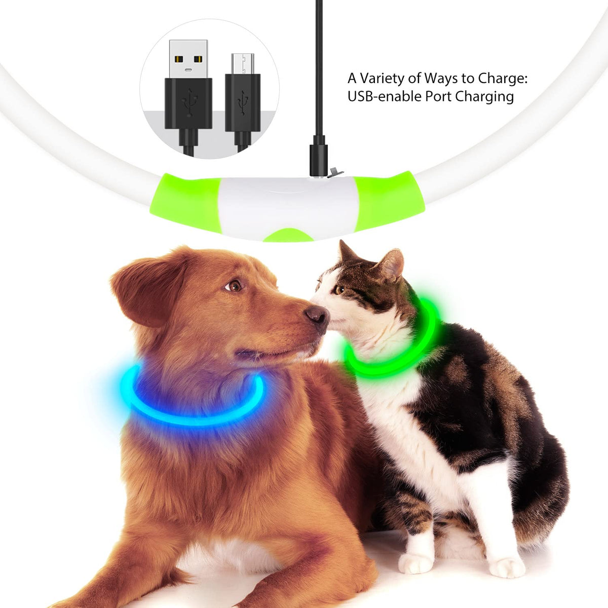 LED Dog Collar USB Rechargeable Green P19362