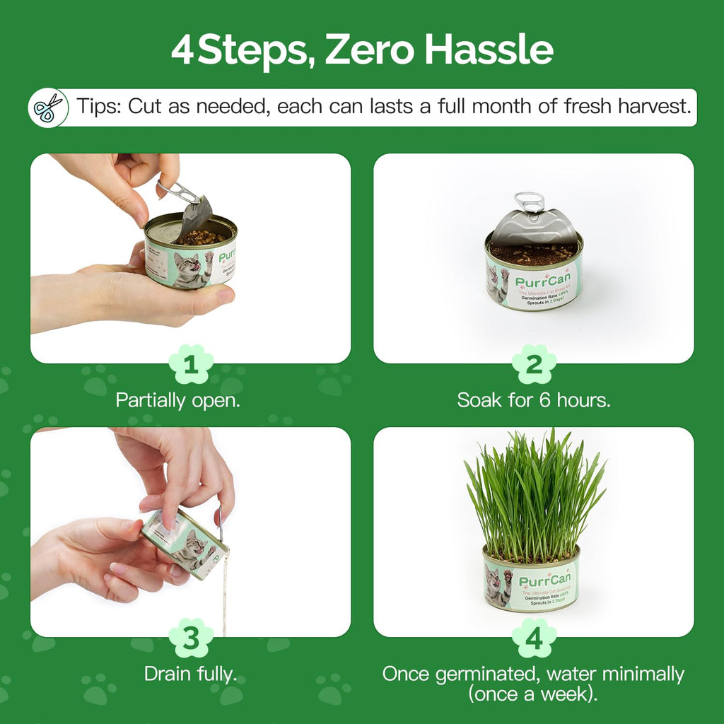 6 Cans Organic Wheat Cat Grass Growing Kit H868