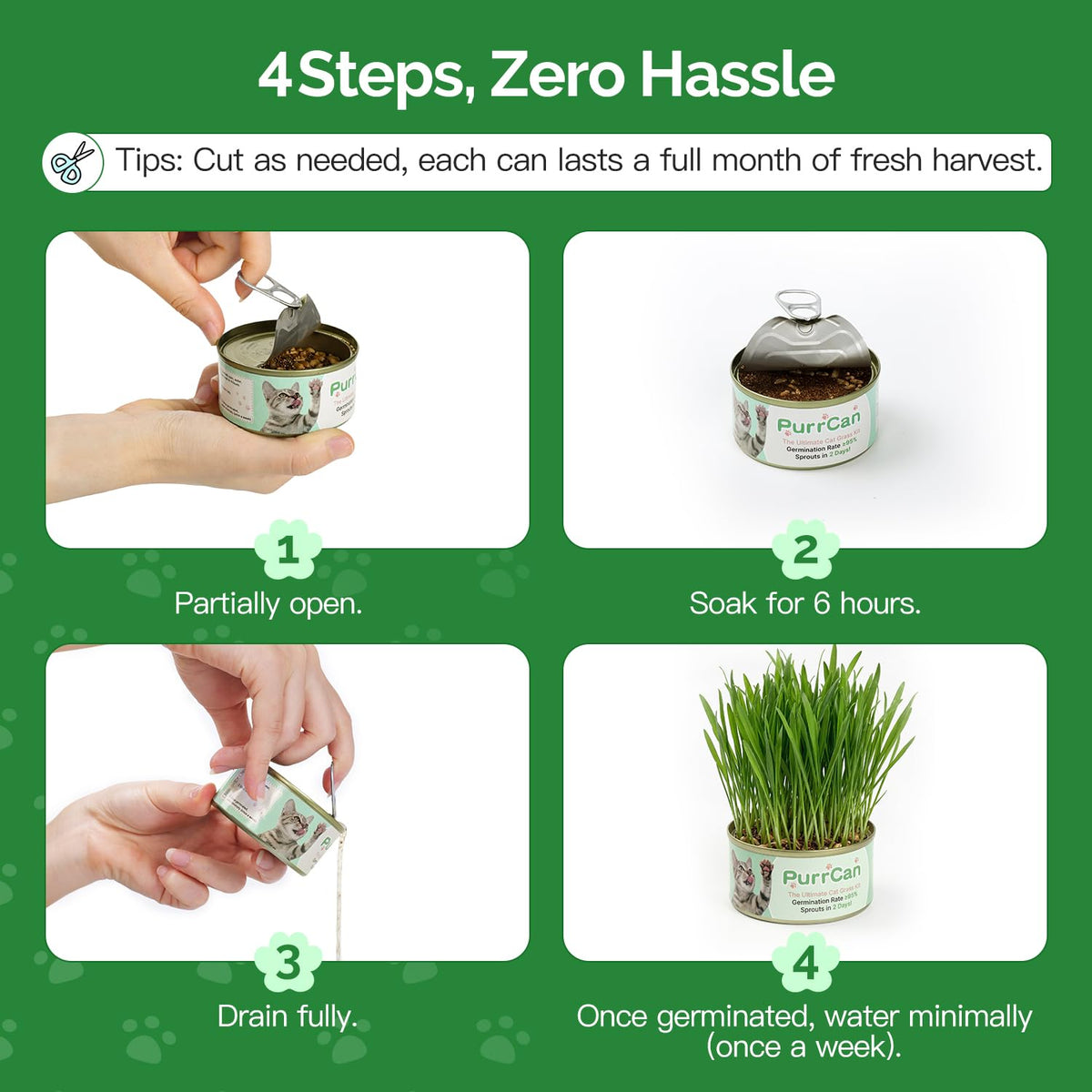 6 Cans Organic Wheat Cat Grass Growing Kit H868