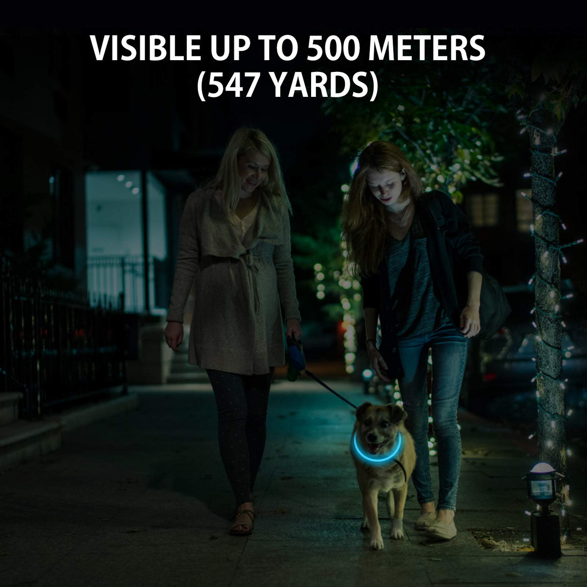 2-Pack Rechargeable LED Dog Collar T832