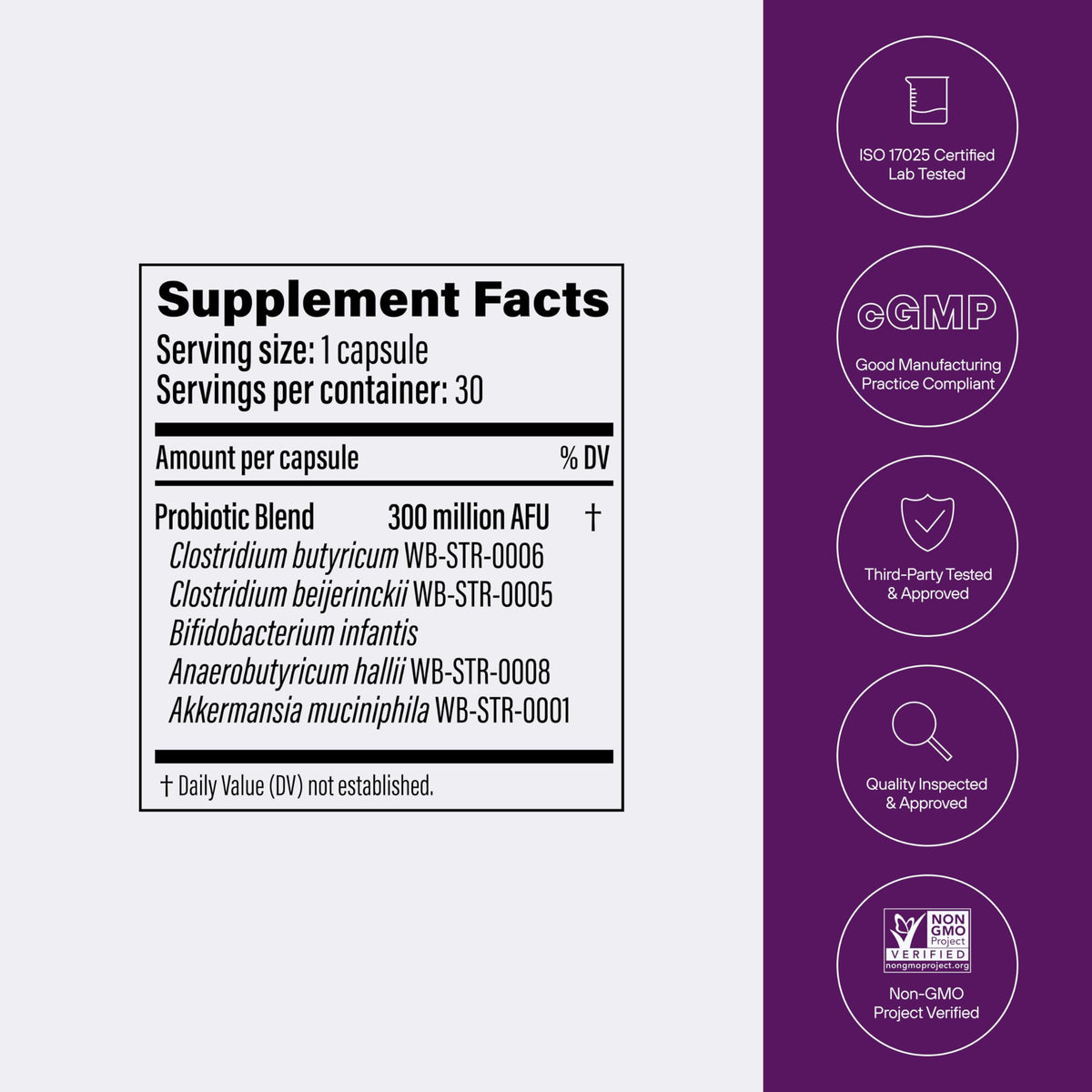 Multi-Strain Probiotic with Akkermansia muciniphila 30 Capsules A583525