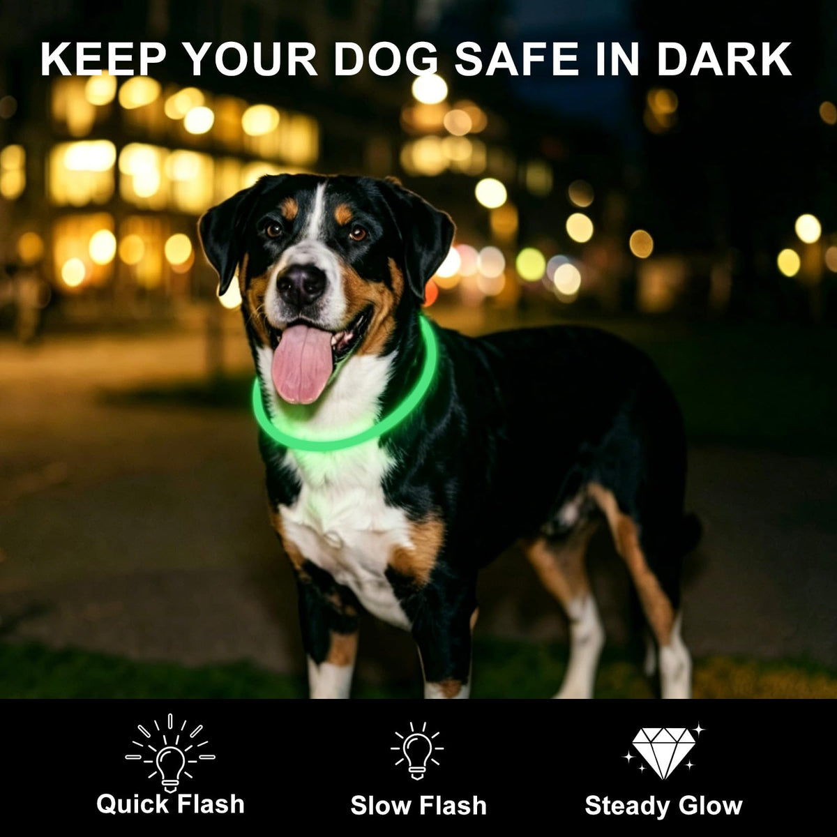 2-Pack Rechargeable LED Dog Collar T832