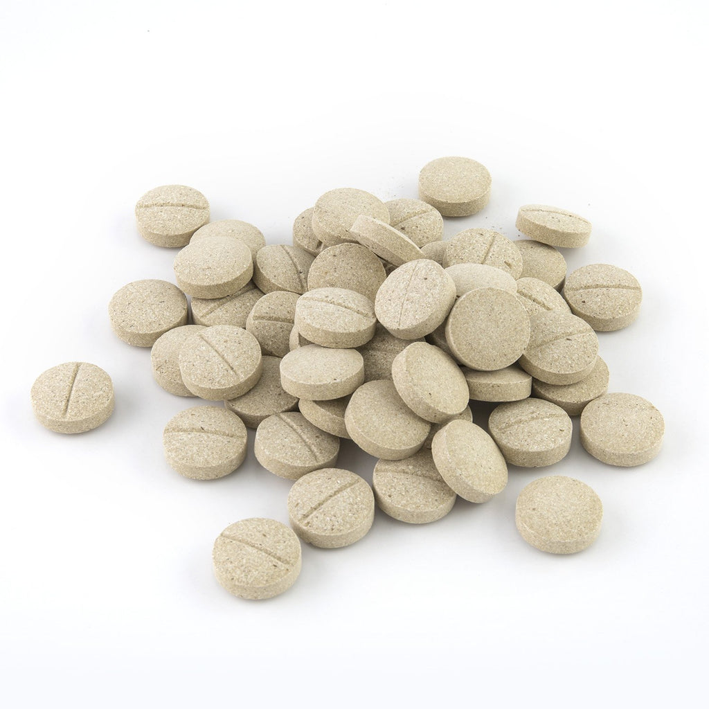 Dog Multivitamin Chewable Tablets 90 Count C72766