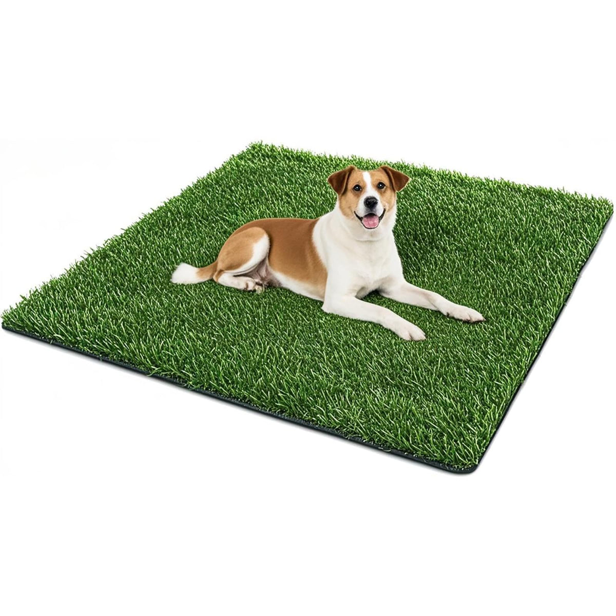 50.1x30.5In Artificial Grass Dog Pee Pad Z64472