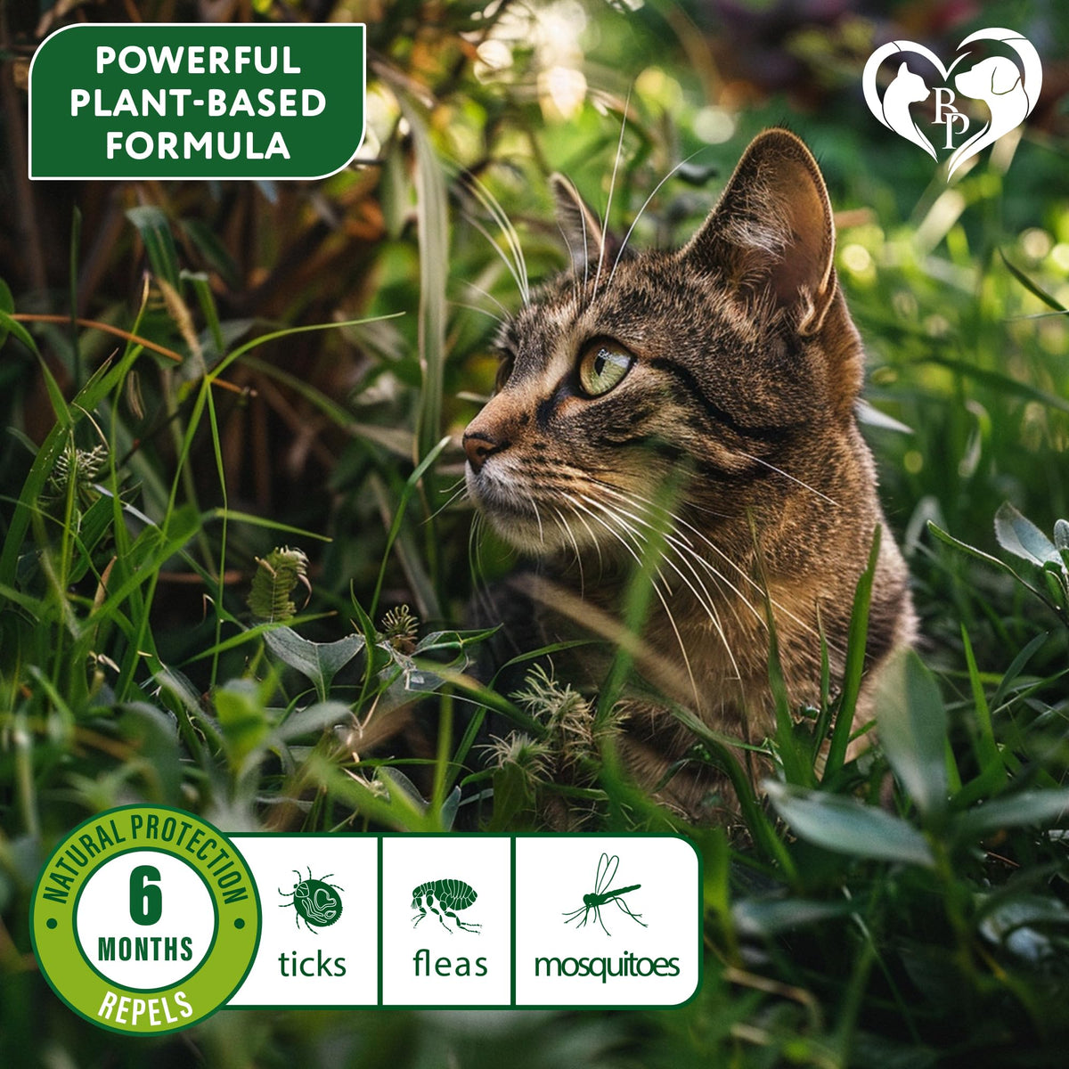 Natural Flea & Tick Collar for Cats 1 Pack R55809
