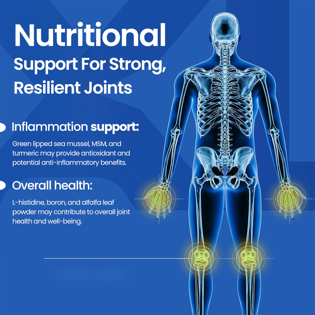 Joint Support Supplement 60 Tablets Q5268