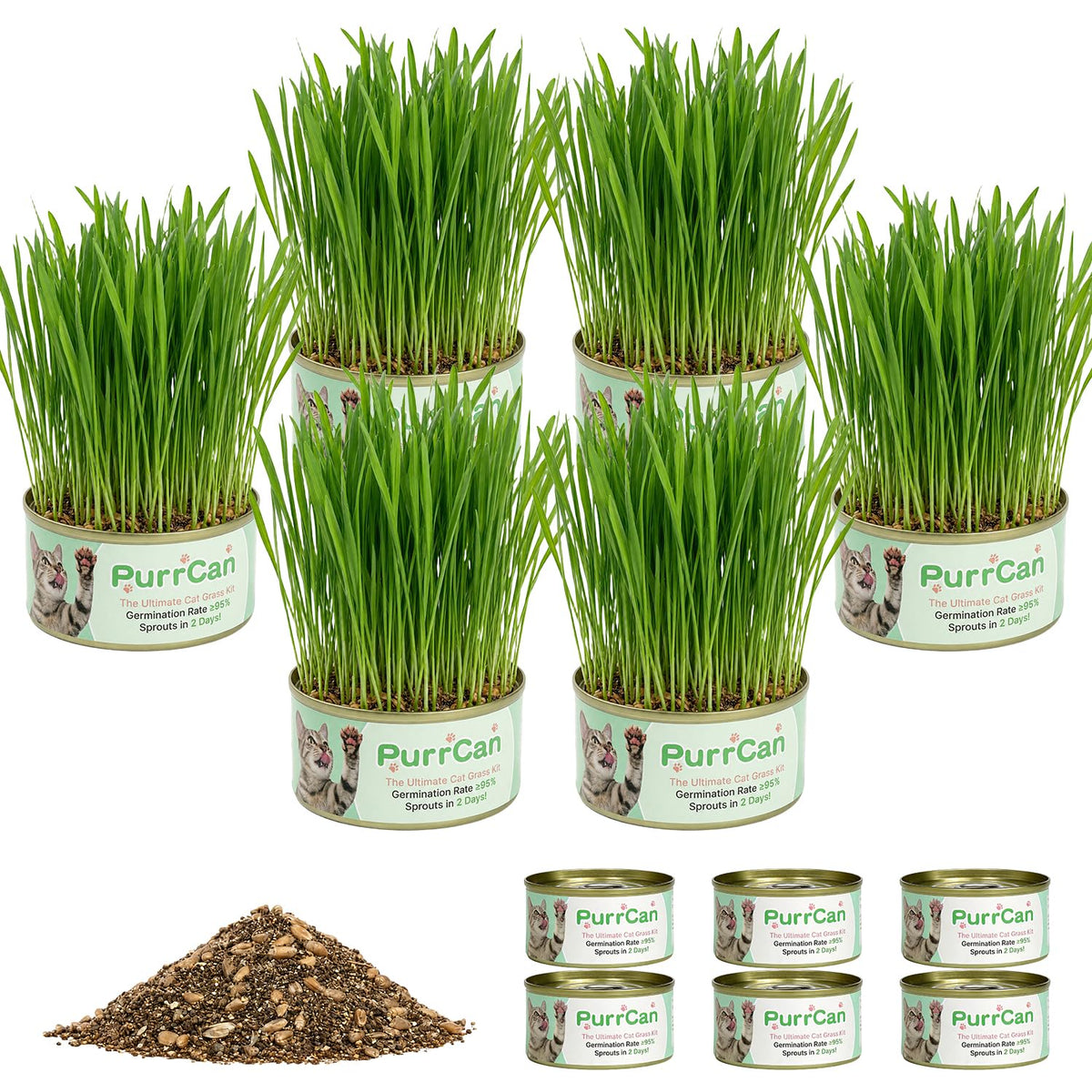 6 Cans Organic Wheat Cat Grass Growing Kit H868