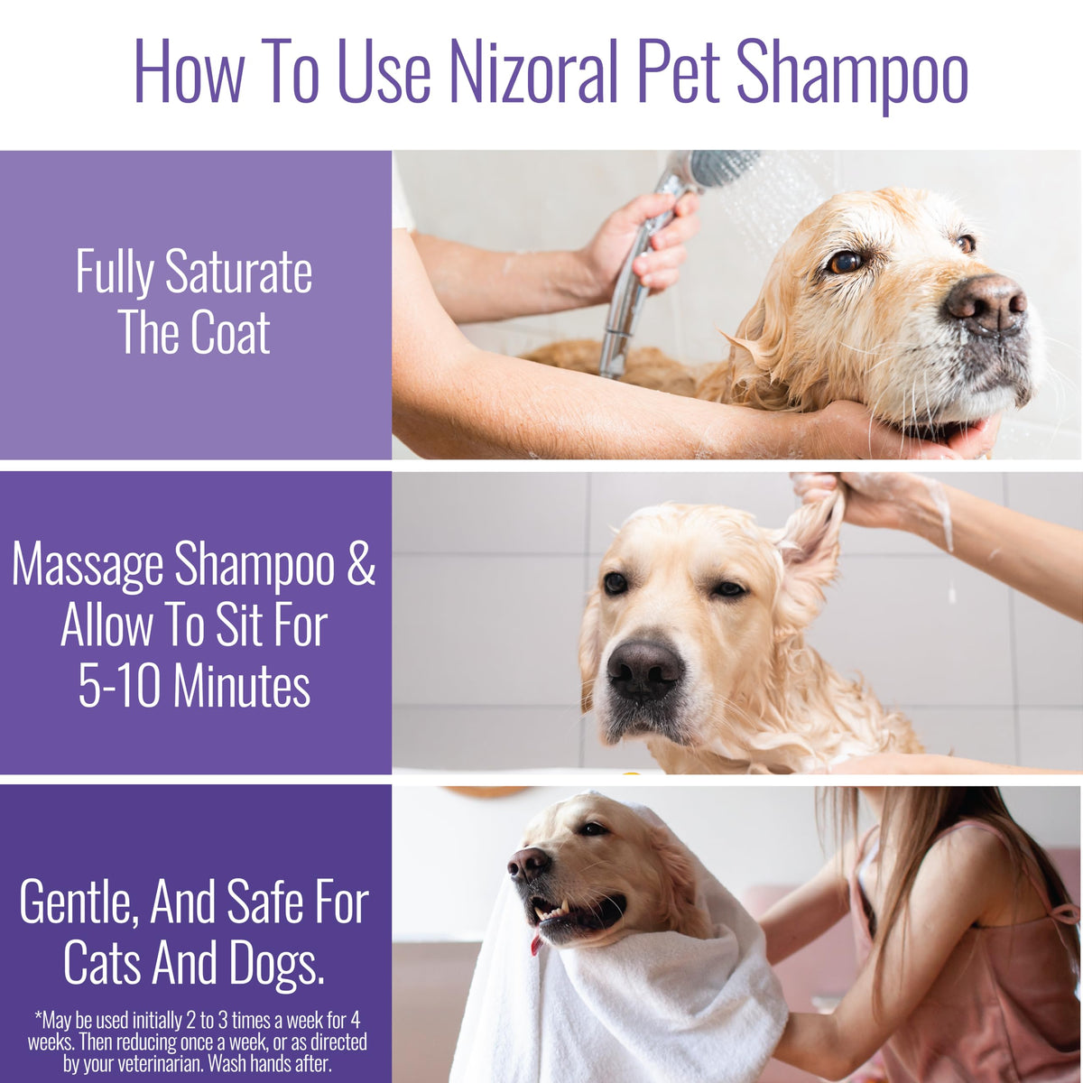16 Oz Chlorhexidine Pet Shampoo Y16651