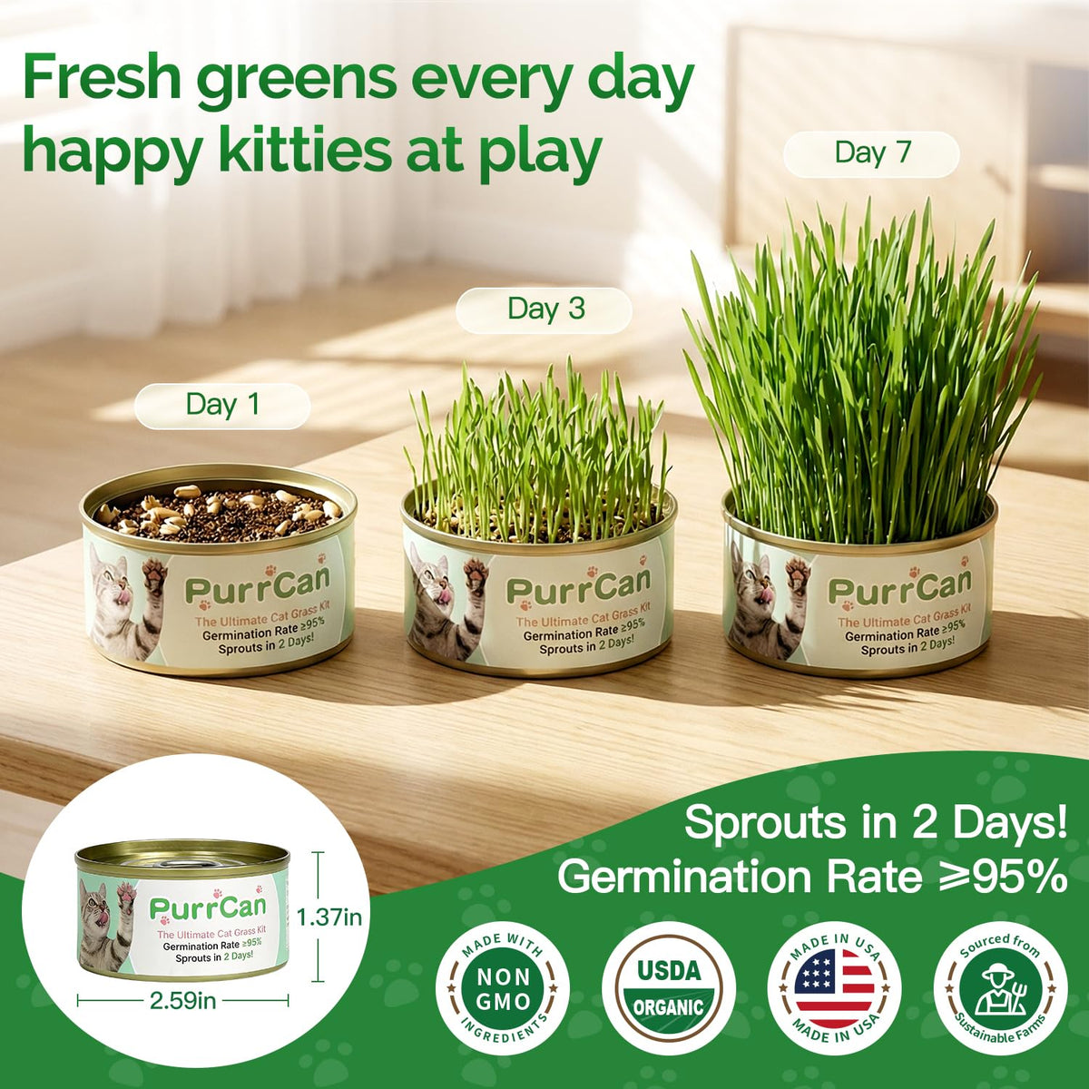6 Cans Organic Wheat Cat Grass Growing Kit H868