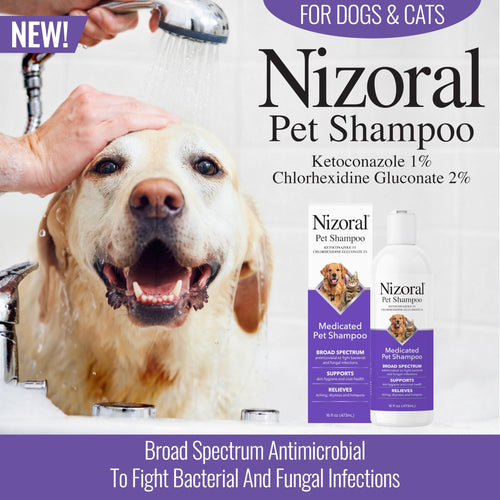 16 Oz Chlorhexidine Pet Shampoo Y16651