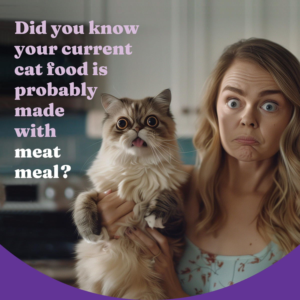 Dry Cat Food 3 lb W308268