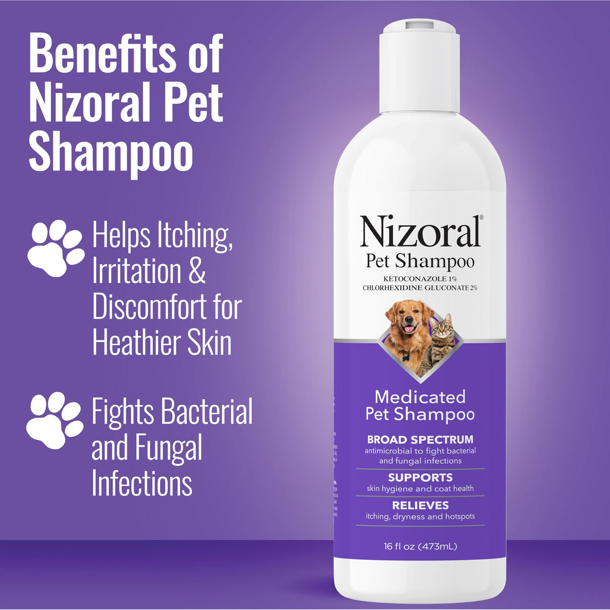 16 Oz Chlorhexidine Pet Shampoo Y16651