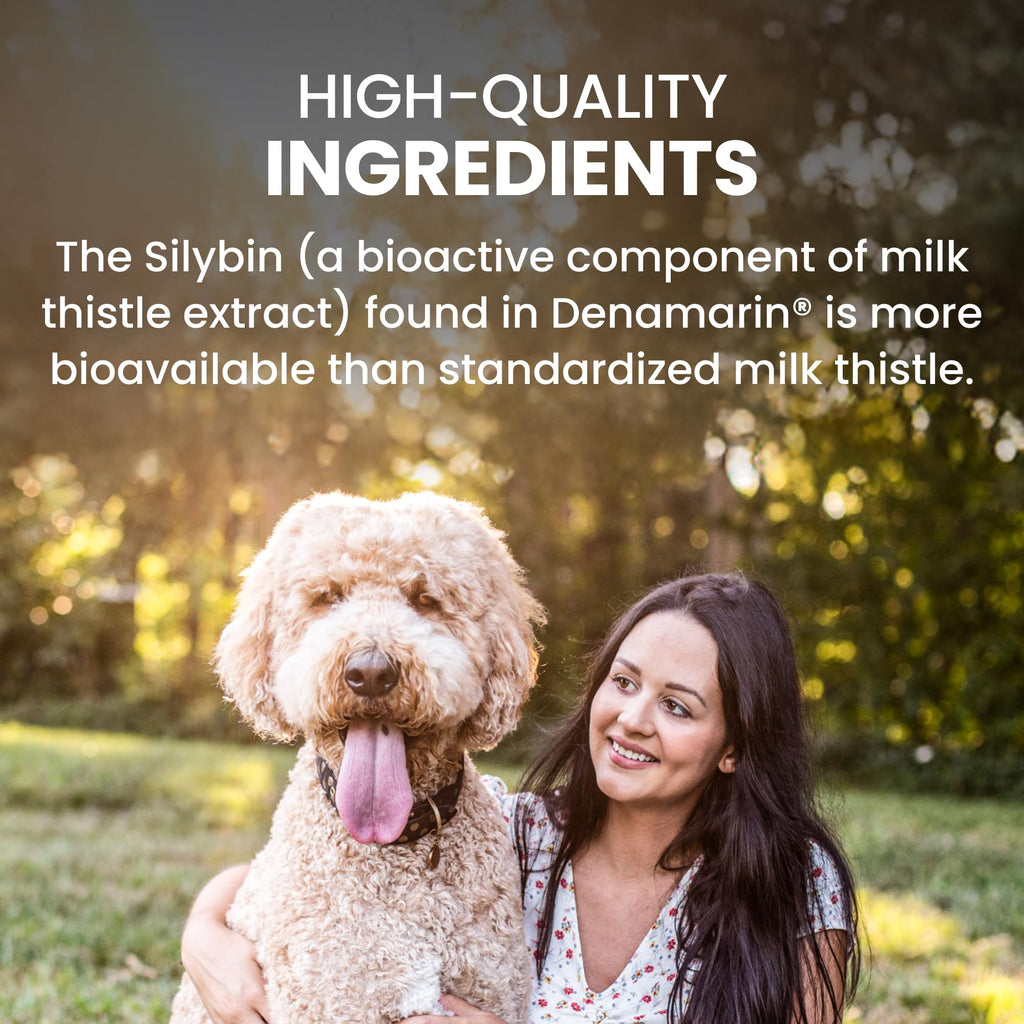 Large Dog Liver Health Supplement Coated Tablets 30 Count Pack of 2 S397987