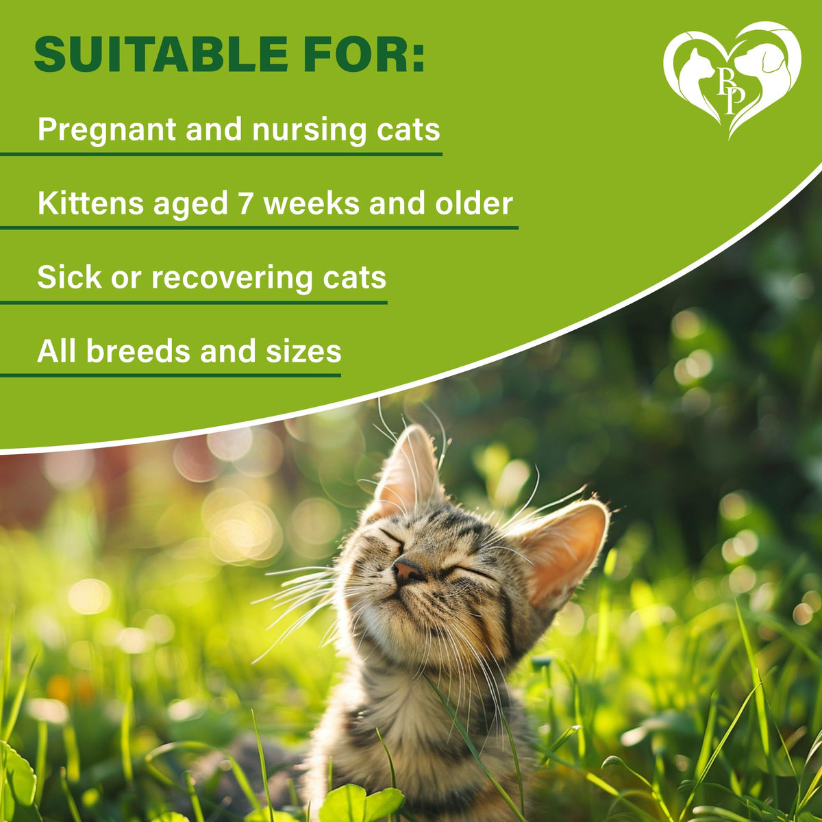 Natural Flea & Tick Collar for Cats 1 Pack R55809