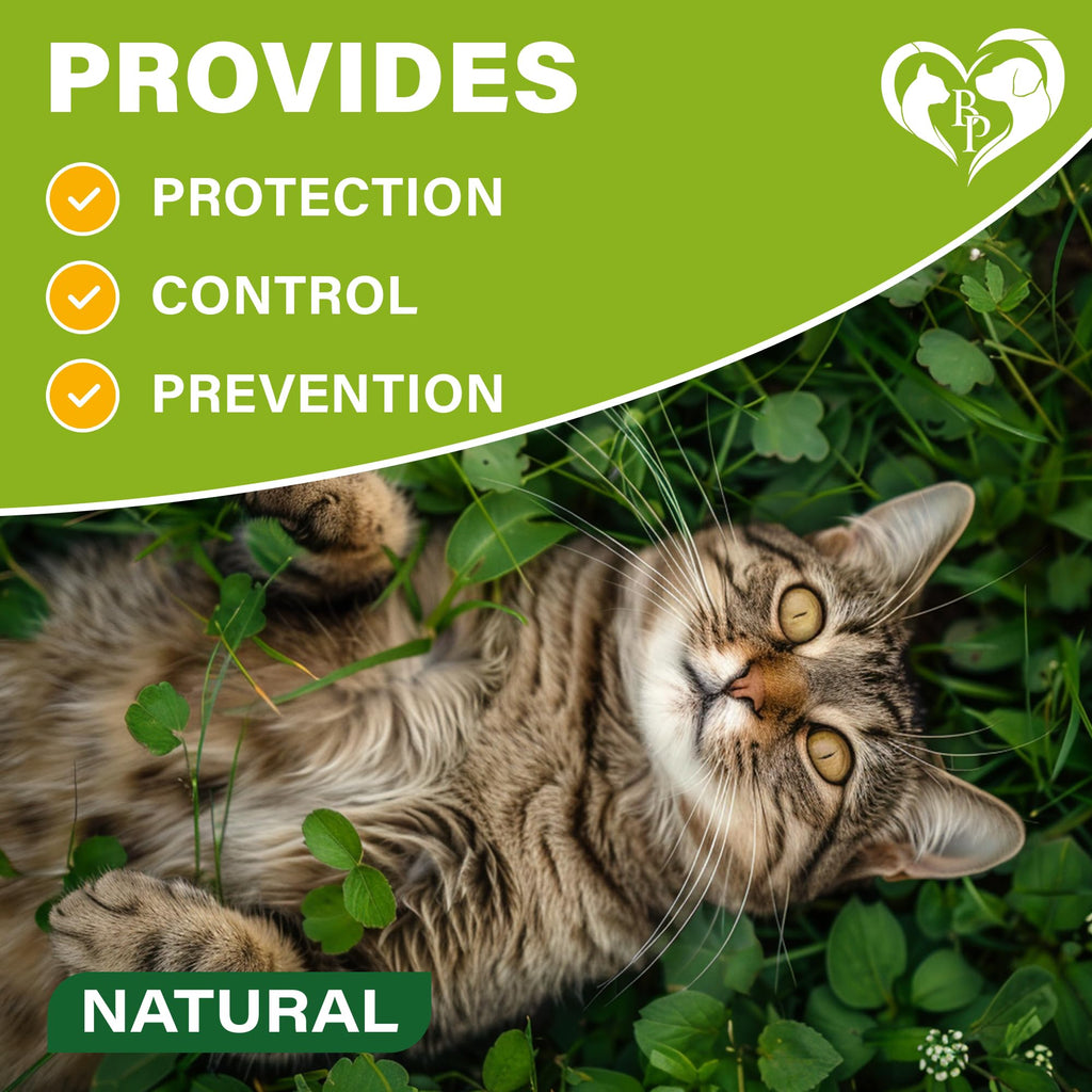 Natural Flea & Tick Collar for Cats 1 Pack R55809