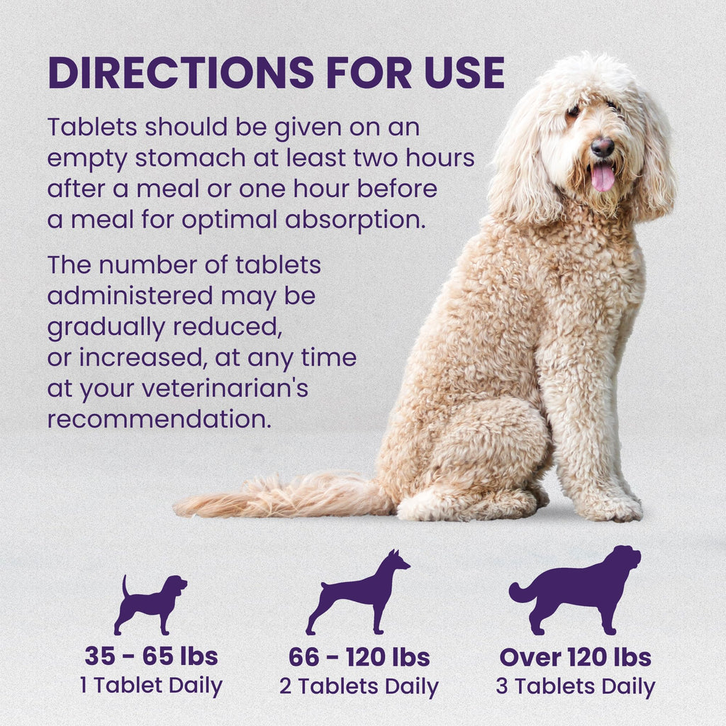Large Dog Liver Health Supplement Coated Tablets 30 Count Pack of 2 S397987